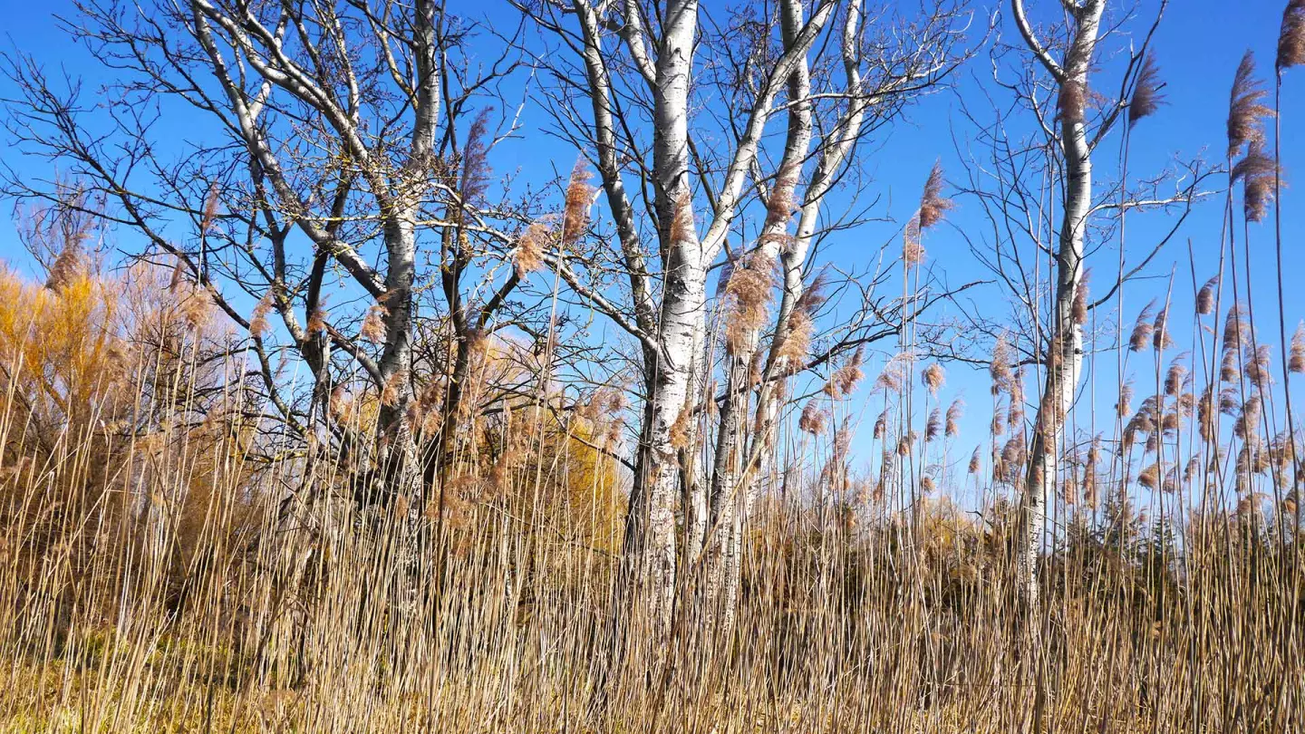 Az ingatlan a Balaton-felvidéki Nemzeti Park szerves része