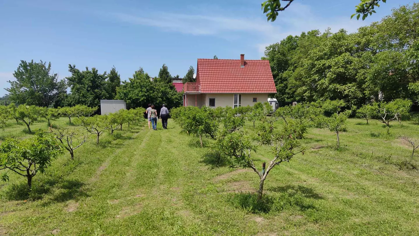 A nyaraló közvetlen mellette lévő telek, melynek nagysága 567 m2 szintén eladó 29 millió Forintért