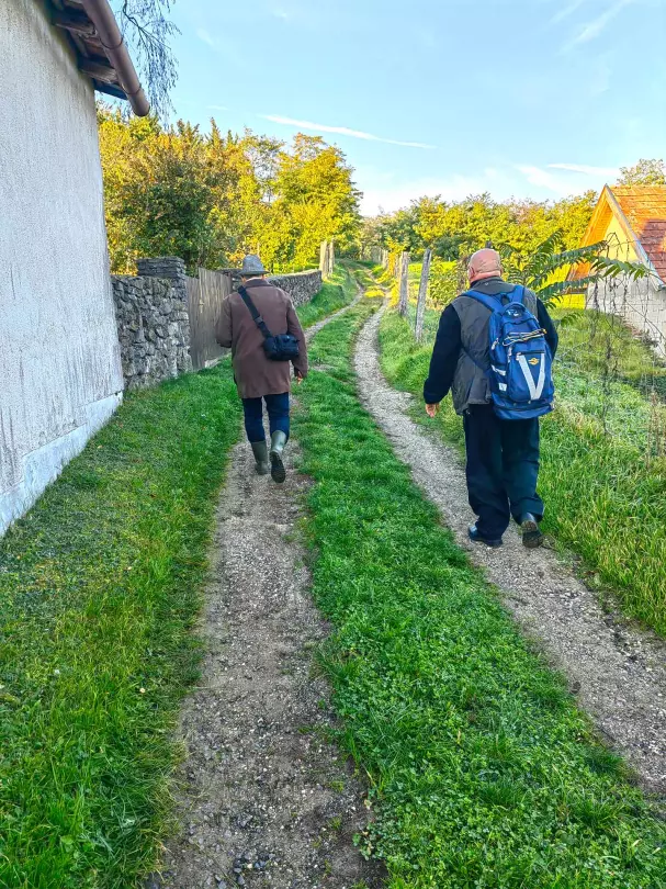 Ingatlan-nyilvántartási megnevezése: kivett lakóház, udvar, szőlő és út, szántó, erdő