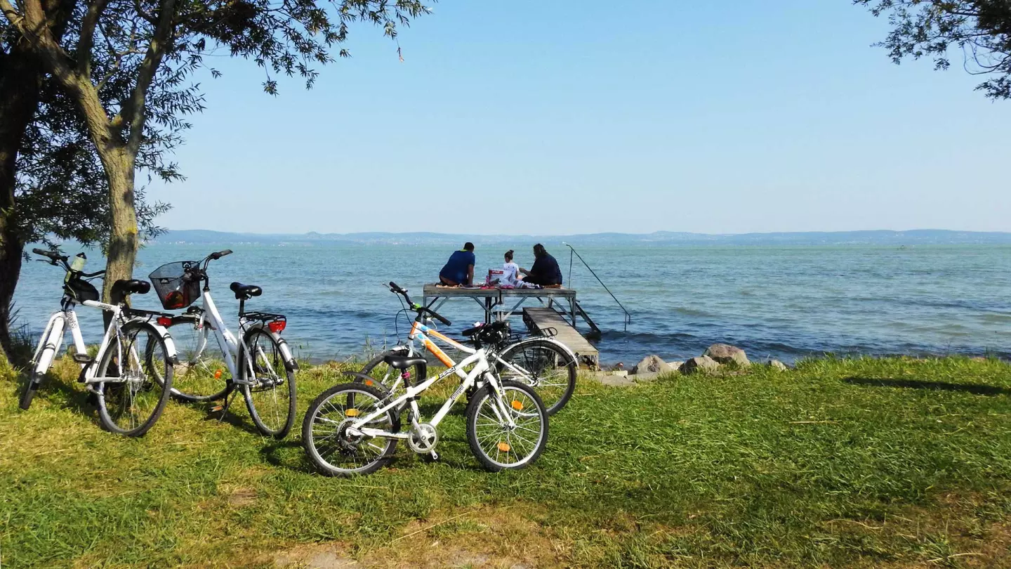 Balatonlellén, eladó házat, nyaralót, vízparti ingatlant keresek Vevőimnek