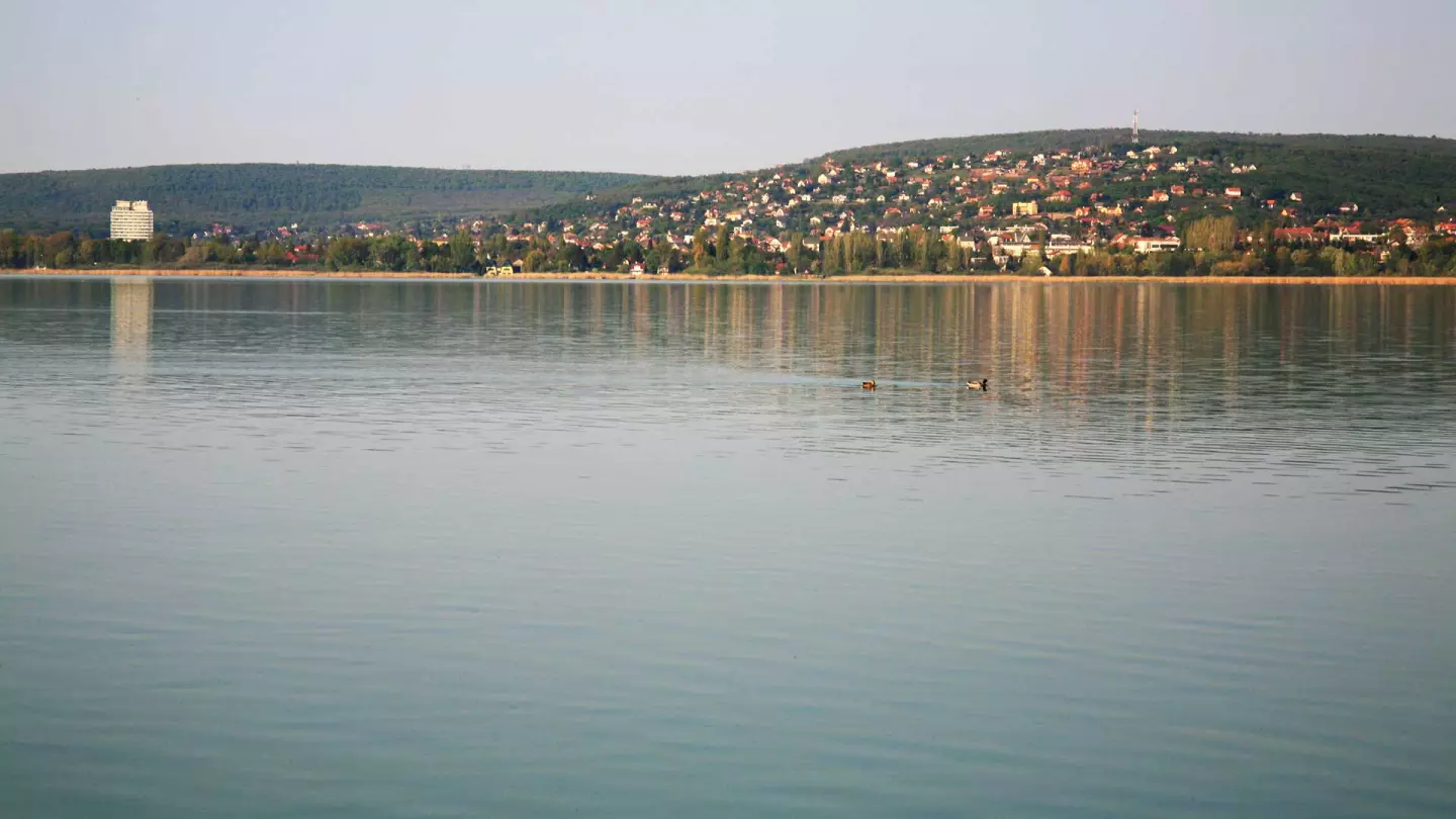 KÖZVETLEN VÍZPARTI INGATLANPROJEKT A BALATON ÉSZAKI PARTJÁN ELADÓ 