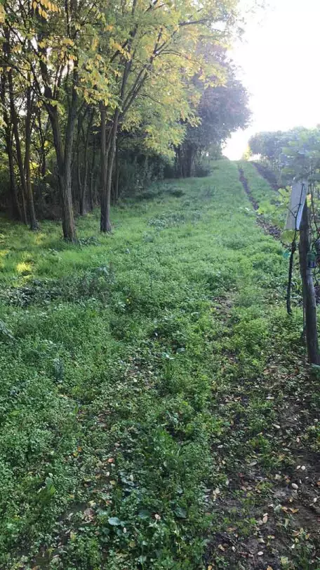 Az ingatlanhoz vezető út részben aszfaltos, részben földút