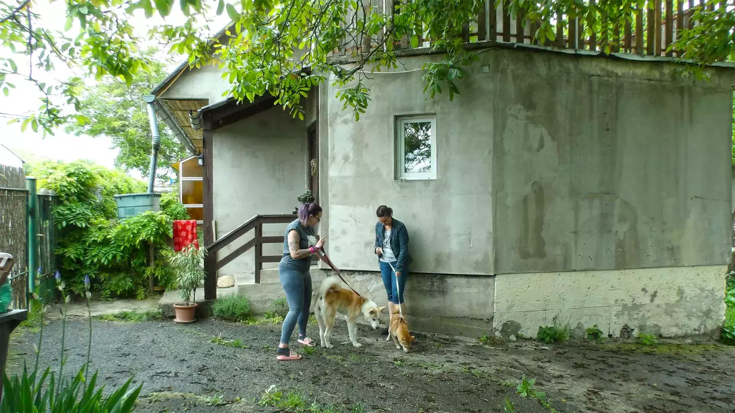 Kutyabarát kertes sorház-rész eladó