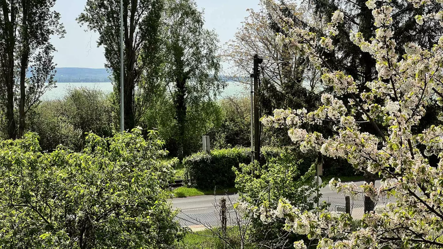 Új, vízparti jellegű privát horgásztanya, Balatonszepezden eladó.