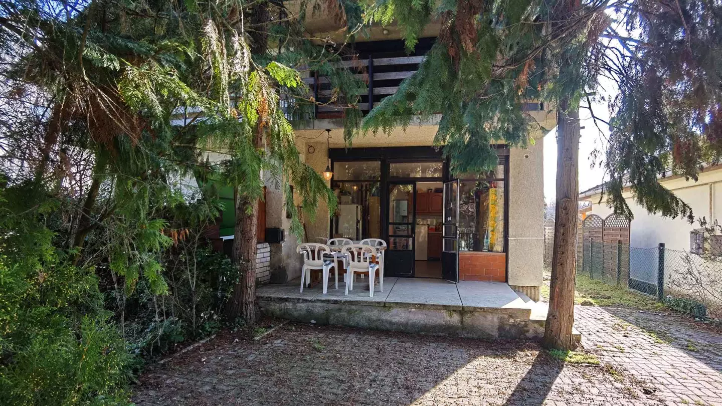 A fenyőfák árnyékot adnak a fedett teraszon tartózkodók részére