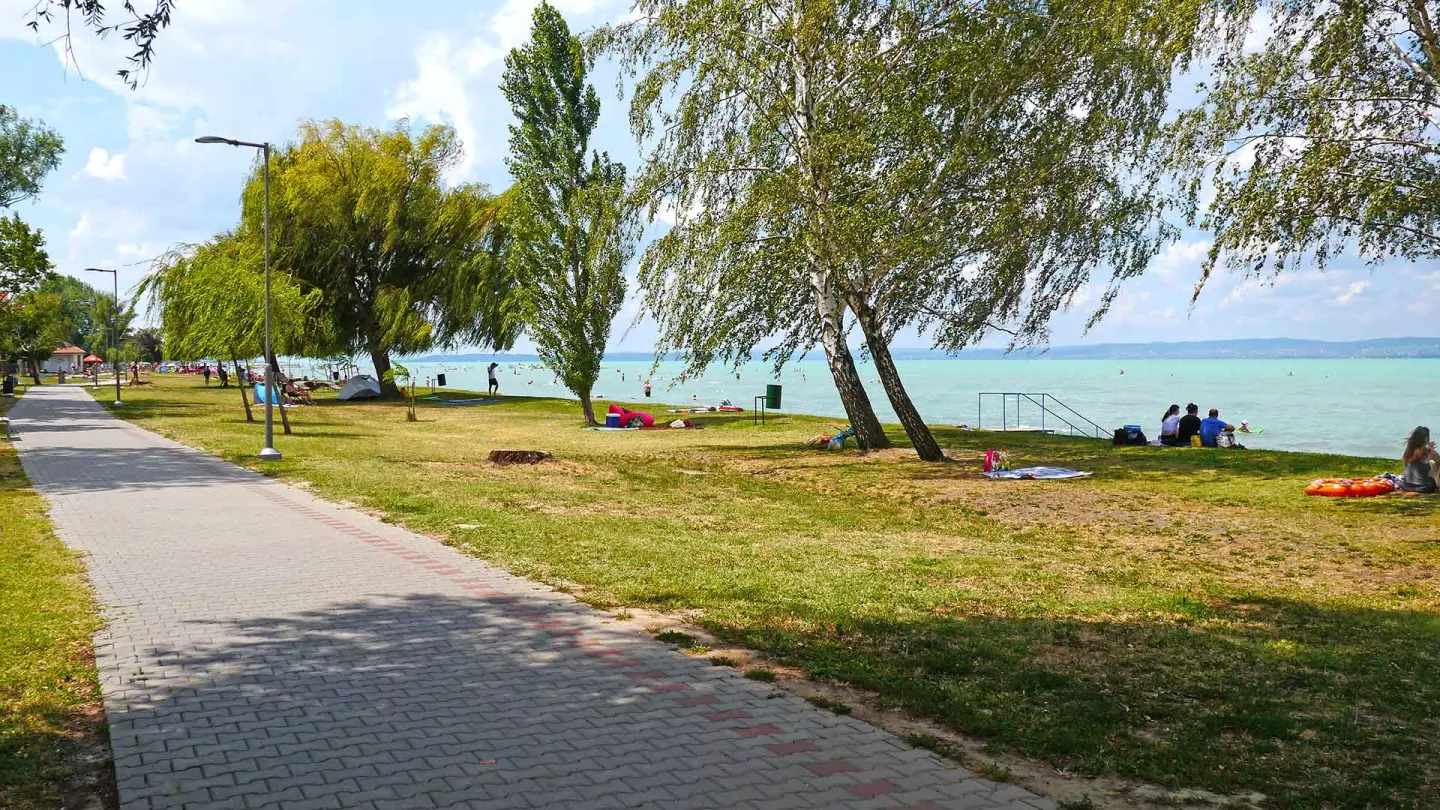 A siófoki Aranypart szabad strandján az árnyékot adó fák alatt lehet hűsölni.