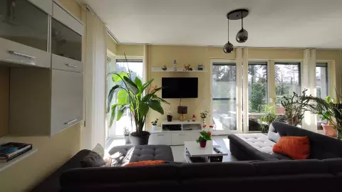 A képen, a nappali szoba látható a terasz kapcsolattal