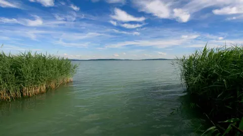 KERESEK vízparti, közvetlen vízparti ingatlanokat a Balaton északi partján Paloznak, Balatonszepezd, Zánka, Ábrahámhegy településeken