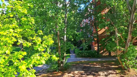 A park fái között ülőpadok vannak, itt lehet üldögélni, levegőzni. Az épületek között van több modern játszótér.