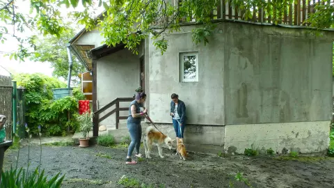 Kutyabarát kertes sorház-rész eladó