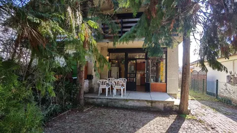 A fenyőfák árnyékot adnak a fedett teraszon tartózkodók részére