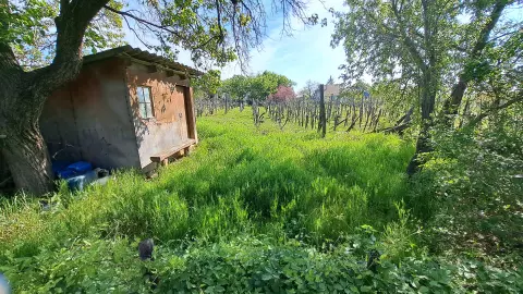 régi faházikó
