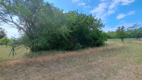 hátsó telekhatár